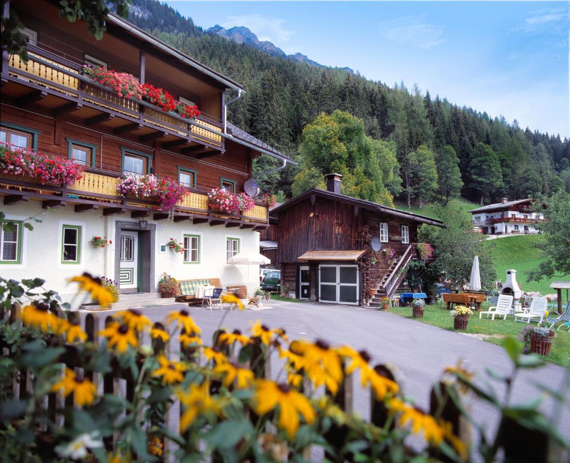 Kalcherhof Ramsau am Dachstein Εξωτερικό φωτογραφία